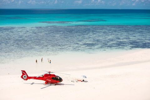 Private Helicopter Tour: Reef Island Snorkeling And Gourmet Picnic Lunch - Gold Coast 2