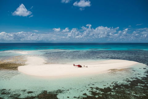 Private Helicopter Tour: Reef Island Snorkeling And Gourmet Picnic Lunch - Gold Coast 4