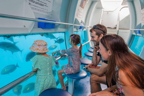 Scenic Helicopter Flight To Moore Reef And Return Snorkeling Cruise From Cairns - Tourism Gold Coast 3