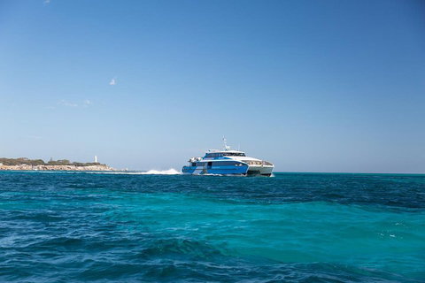 Fremantle To Rottnest Island Roundtrip Ferry Ticket - Gold Coast 5