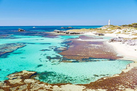 Perth To Rottnest Island Roundtrip Ferry Ticket - Tourism Gold Coast 2