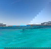 Rottnest Island Bayseeker Day Trip from Perth - Gold Coast