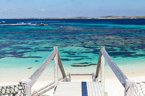 Rottnest Island Bayseeker Day Trip From Perth - Tourism Gold Coast 3
