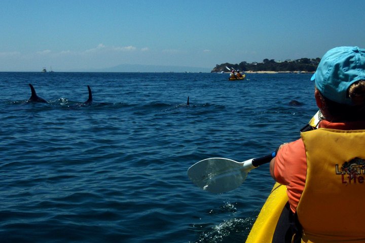 Mornington VIC Gold Coast
