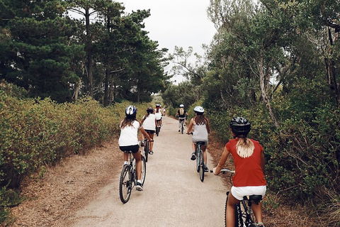 Self-Guided Point Nepean National Park Bike Hire - Gold Coast 3