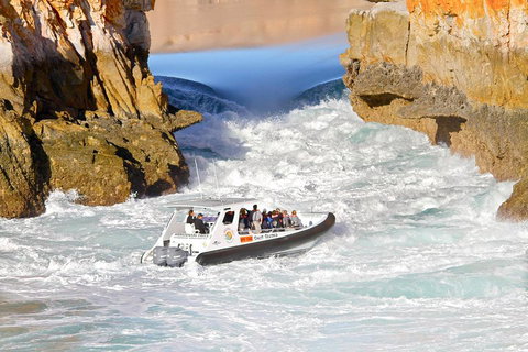Horizontal Falls Half-Day Tour From Broome - Tourism Gold Coast 1