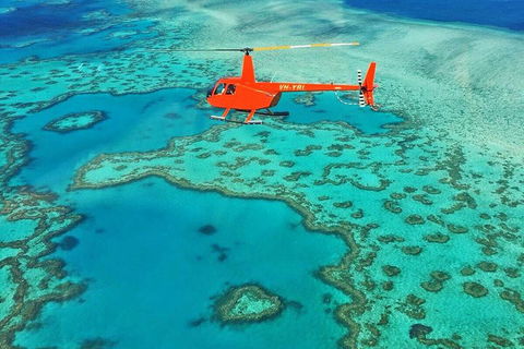 Reef & Whitehaven Landing - Tourism Gold Coast 4