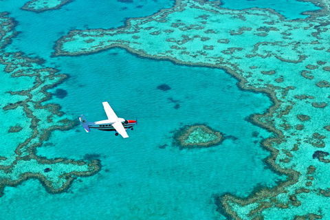 Fly & Sail Package (With Providence) - Tourism Gold Coast 4