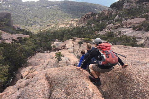 2-Day Tas East Coast Escape Tour Including Bay Of Fires, Wineglass Bay & Devils - Gold Coast 2