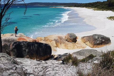 2-Day Tas East Coast Escape Tour Including Bay Of Fires, Wineglass Bay & Devils - Gold Coast 4