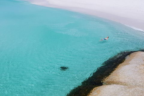 2-Day Tas East Coast Escape Tour Including Bay Of Fires, Wineglass Bay & Devils - Gold Coast 5