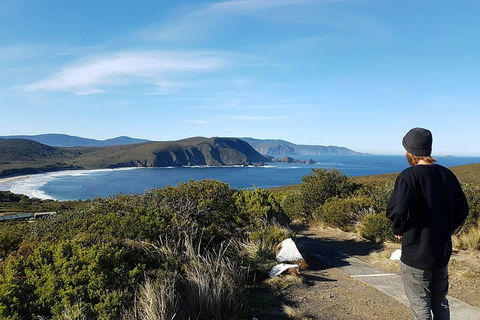 4-Day Fabulous Tasmania Tour: Wineglass Bay, Port Arthur, Devils & Bruny Island - Gold Coast 0
