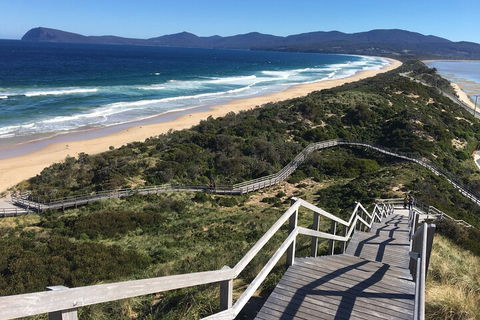 4-Day Fabulous Tasmania Tour: Wineglass Bay, Port Arthur, Devils & Bruny Island - Gold Coast 5