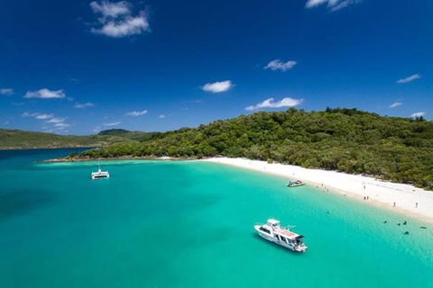 Whitehaven Beach And Hill Inlet | Awesome Beach BBQ | Family Friendly - Tourism Gold Coast 3