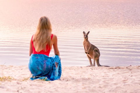 Serenity Cruise To Australia's Everglades - Tourism Gold Coast 3