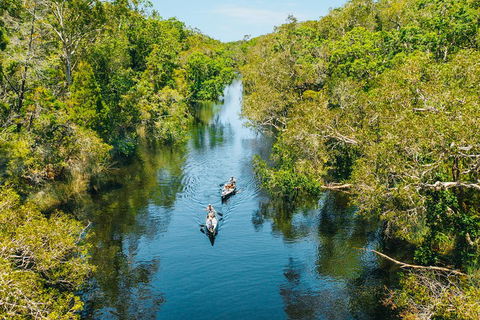 Cruise 'n' Canoe To Australia's Everglades - Tourism Gold Coast 3