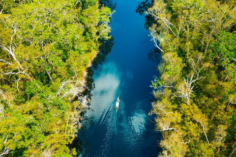 Cruise 'n' Canoe To Australia's Everglades - Tourism Gold Coast 4