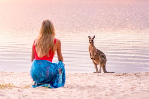Cruise 'n' Canoe To Australia's Everglades - Tourism Gold Coast 5