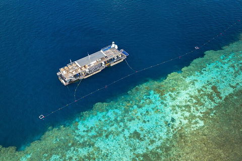 Great Barrier Reef Day Cruise To Reefworld - Tourism Gold Coast 2