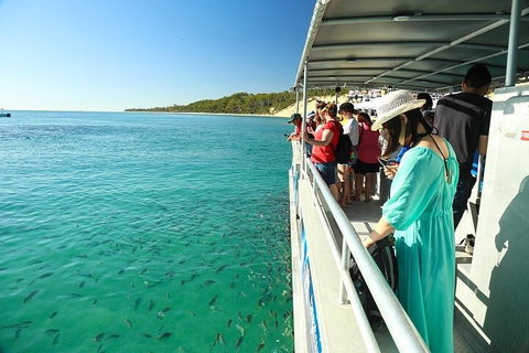 Adventure Moreton Island Wrecks Adventure Package - Tourism Gold Coast 1