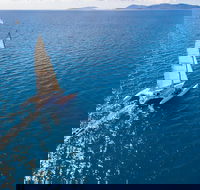 2-Night Whitsunday Islands Sailing Adventure on Trimaran Avatar - Tourism Gold Coast