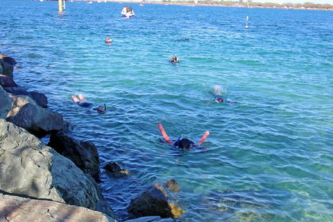 Wave Break Island Scuba Diving On The Gold Coast - Gold Coast 1