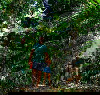 Full Day Daintree Rainforest and Mossman Gorge Tour - Gold Coast