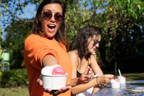 Full Day Daintree Rainforest And Mossman Gorge Tour - Gold Coast 3