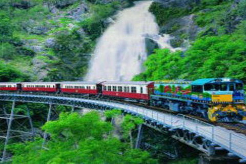 Cairns ATV Adventure Tour And Morning Train - Tourism Gold Coast 4