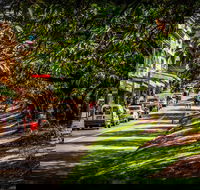 Fully Inclusive Blue Mountains Private Tour inc Scenic World  Featherdale entry - Tourism Gold Coast