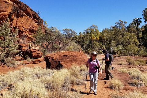 Palm Valley And Hermannsburg 1 Day 4WD Tour - Tourism Gold Coast 1