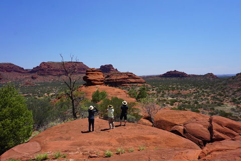 Palm Valley And Hermannsburg 1 Day 4WD Tour - Tourism Gold Coast 2