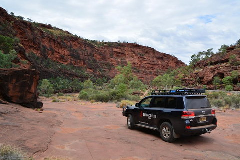 Palm Valley And Hermannsburg 1 Day 4WD Tour - Tourism Gold Coast 5