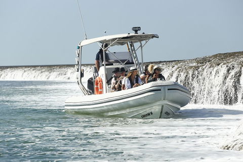 Cygnet Bay Explorer - Tourism Gold Coast 2