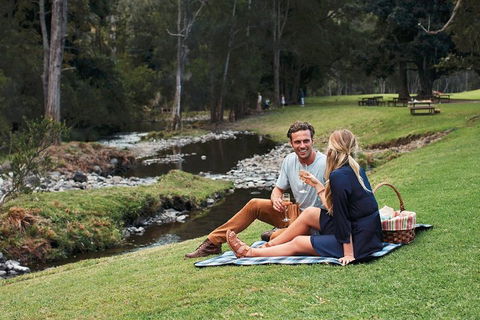 Mt Tamborine - Hinterland Wonders Self Guided - Tourism Gold Coast 0