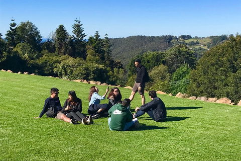 Mt Tamborine - Hinterland Wonders Self Guided - Tourism Gold Coast 1