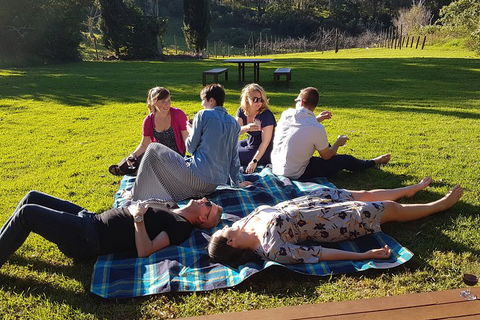 Mt Tamborine - Hinterland Wonders Self Guided - Tourism Gold Coast 2