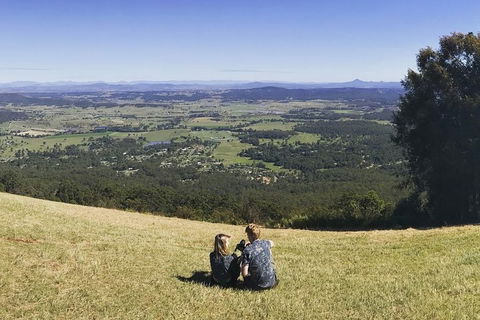 Mt Tamborine - Hinterland Wonders Self Guided - Tourism Gold Coast 4