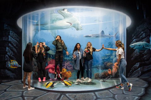 ArtVo Immersive Gallery Experience - Tourism Gold Coast 2