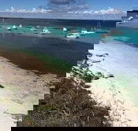 Experience Rottnest with Ferry  Bike Hire from Perth or Fremantle - Gold Coast