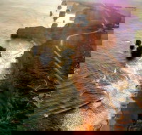 Full-Day Great Ocean Road and 12 Apostles Sunset Tour from Melbourne - Tourism Gold Coast