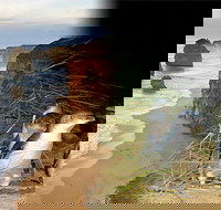 Melbourne Super Saver Great Ocean Road  Phillip Island  Attraction Pass - Tourism Gold Coast