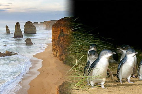 Melbourne Super Saver: Great Ocean Road + Phillip Island + Attraction Pass - Tourism Gold Coast 0
