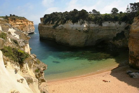 Melbourne Super Saver: Great Ocean Road + Mornington Peninsula + Attraction Pass - Tourism Gold Coast 3