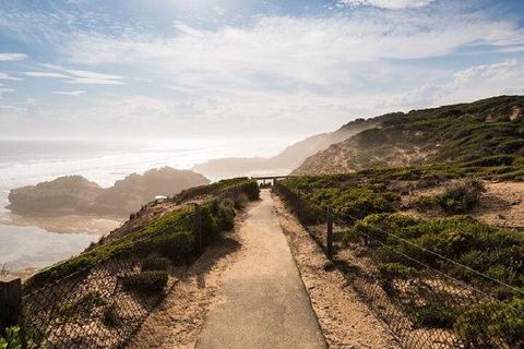 Melbourne Super Saver: Great Ocean Road + Mornington Peninsula + Attraction Pass - Tourism Gold Coast 4