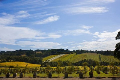 Melbourne Super Saver: Great Ocean Road + Mornington Peninsula + Attraction Pass - Tourism Gold Coast 5
