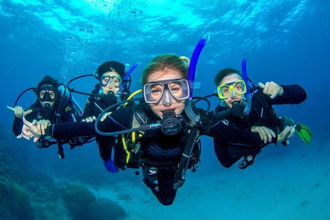 Great Barrier Reef Diving And Snorkeling Cruise From Cairns - Gold Coast 0