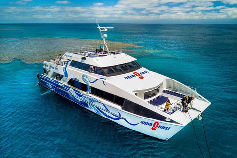 Great Barrier Reef Diving And Snorkeling Cruise From Cairns - Gold Coast 5