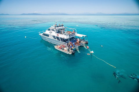 Ocean Freedom Great Barrier Reef Personal Luxury Snorkel & Dive Cruise, Cairns - Tourism Gold Coast 0
