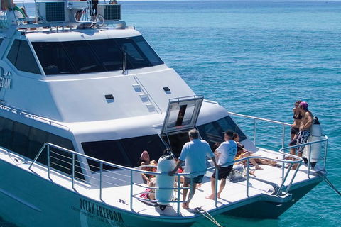 Ocean Freedom Great Barrier Reef Personal Luxury Snorkel & Dive Cruise, Cairns - Tourism Gold Coast 1
